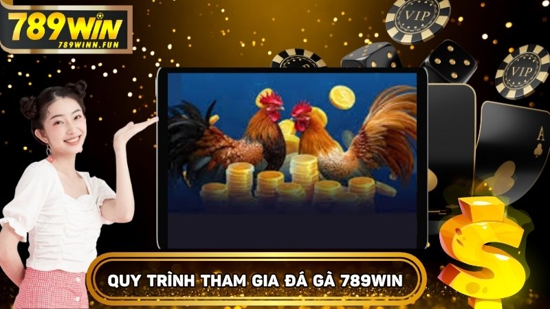 Quy trình tham gia đặt cược đá gà 789WIN