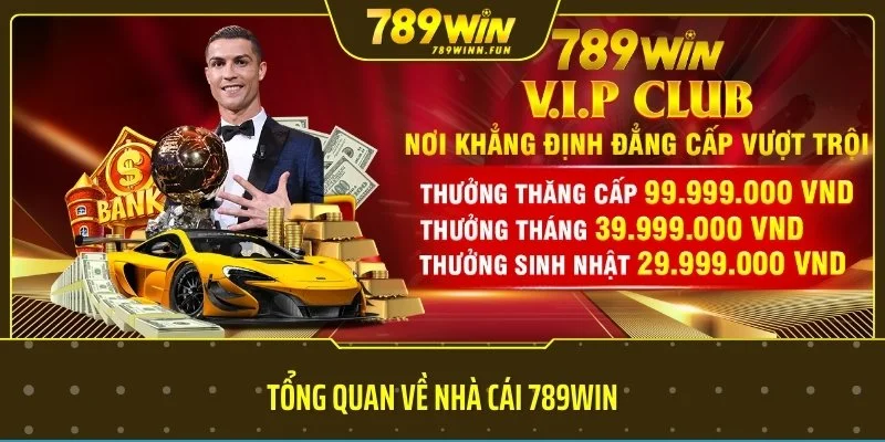 Tổng quan về nhà cái 789WIN